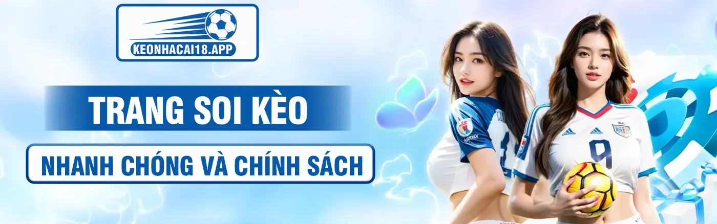 nvi.mx banner
